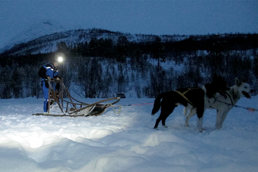 Corsa con i cani da slitta - Caccia all'Aurora Boreale in Norvegia