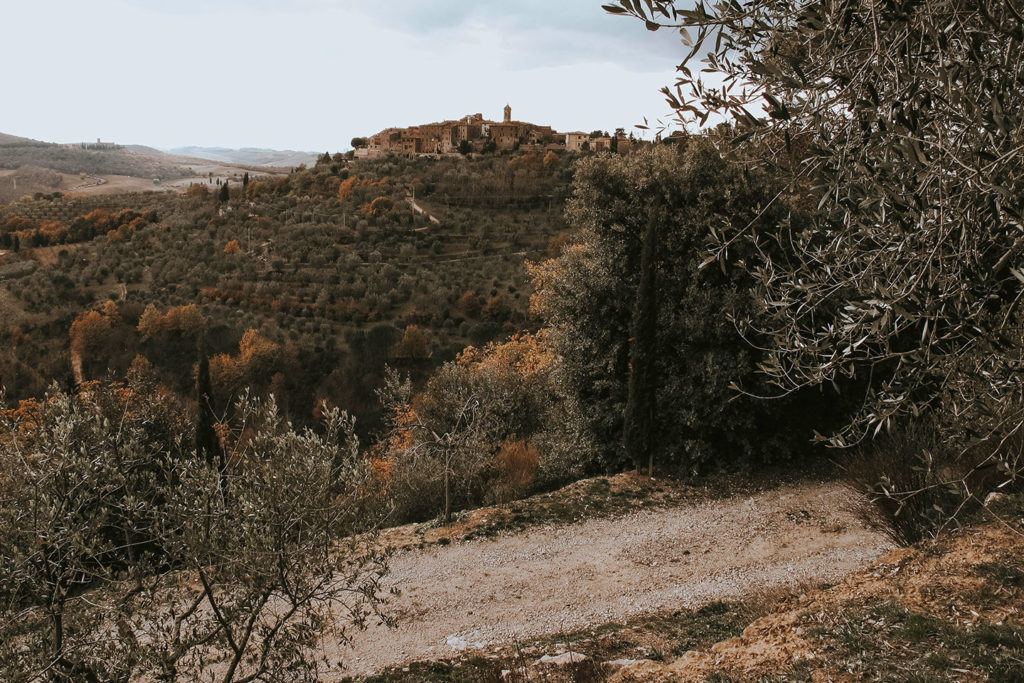 veduta di Montalcino Vacanze in Toscana