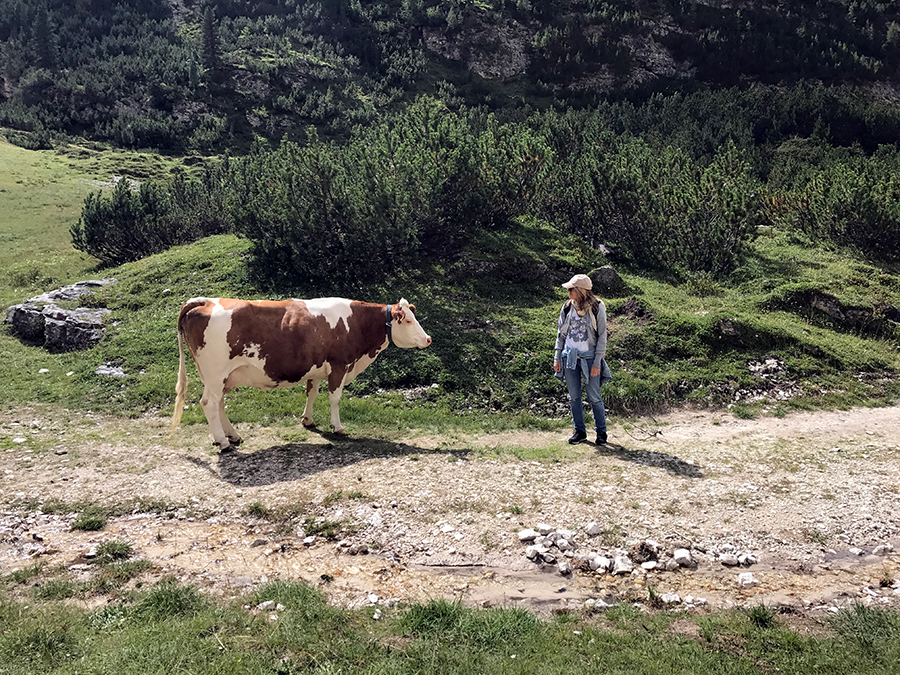 Vacanze in Estate sulle Dolomiti